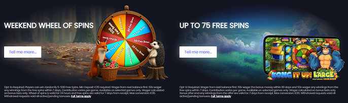 Neon Rush casino Bonus